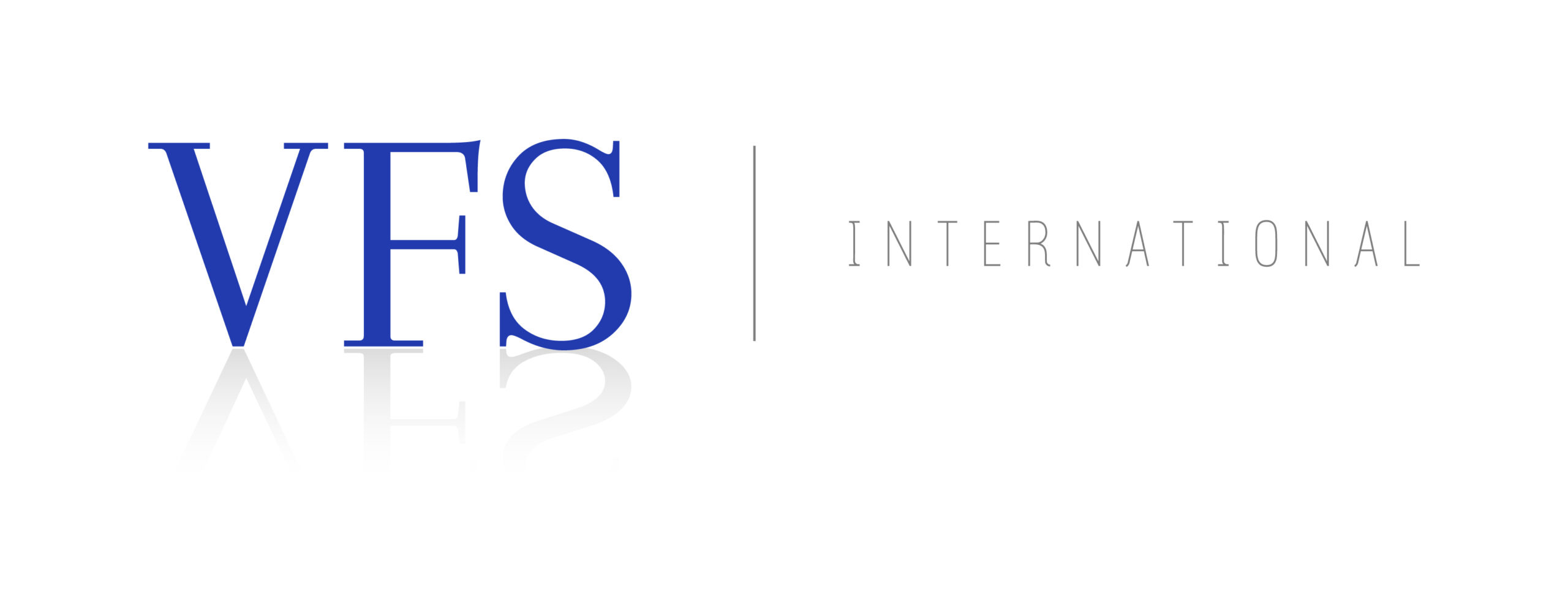 VFS Logo_Primary-01